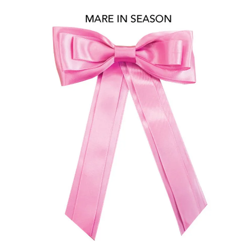 Equetech Horse Competition Warning Tail Ribbon in Pink