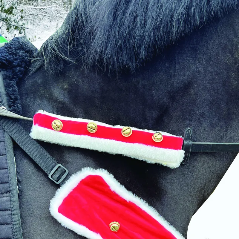 Equetech Sleigh Bell Bridle Accessories Pair in Red and White-1
