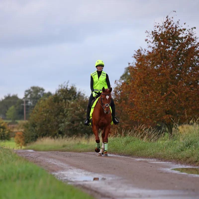 Equi-Flector Safety Vest in Yellow-4