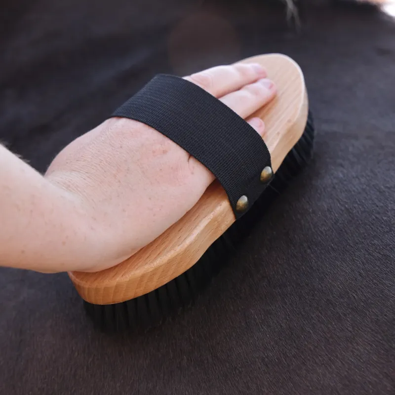 Ezi-Groom Premium Body Brush in Black-2