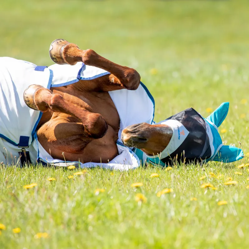 FlyGuard Pro Fine Mesh Fly Mask With Ears in Teal-4