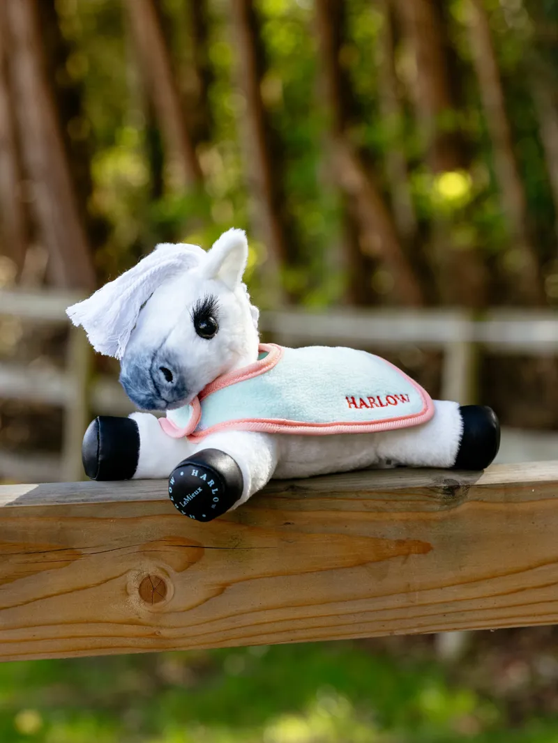 LeMieux Harlow Tiny Rugs 2 pack In Mint/Coral Crush-2