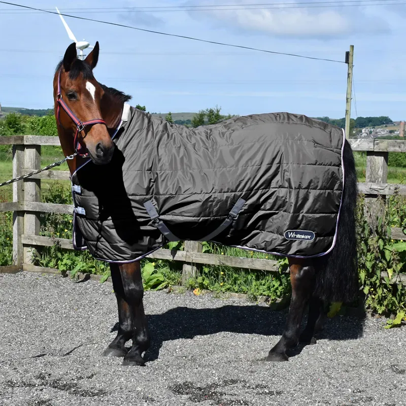 John Whitaker Crompton Stable Rug 100gm in Grey