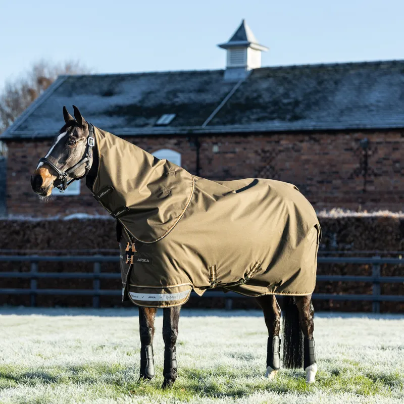 Winter Turnout Rugs
