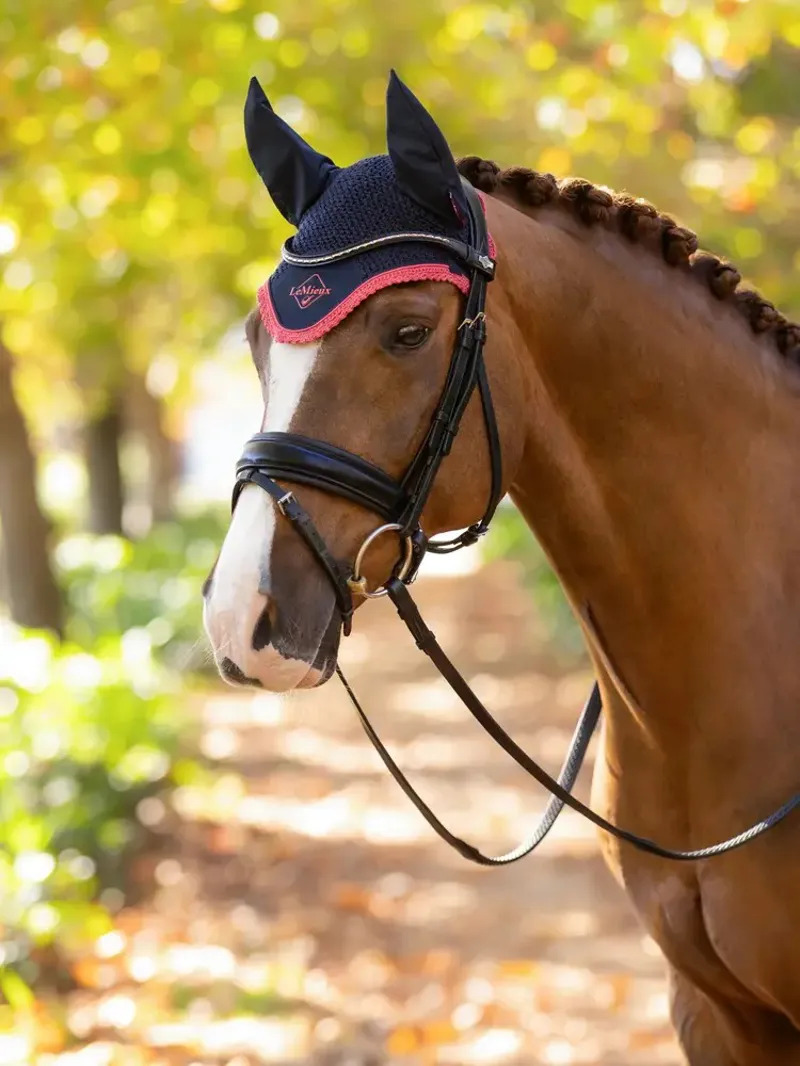 LeMieux Classic Fly Hood in Navy/Cranberry-1