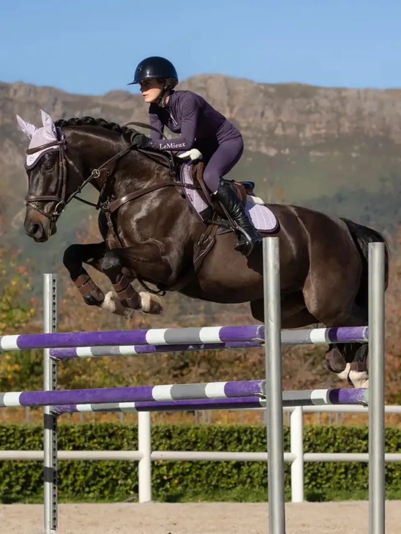 LeMieux Classique Base Layer in Juniper-4