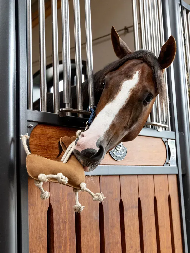 LeMieux Horse Toy Sausage Dog-1