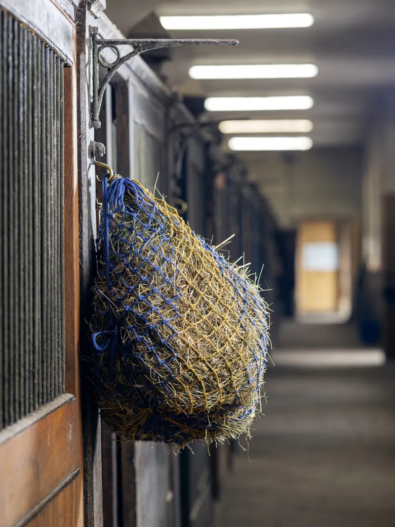 LeMieux Hungry Hippo Hay Net in Navy and Blue-1