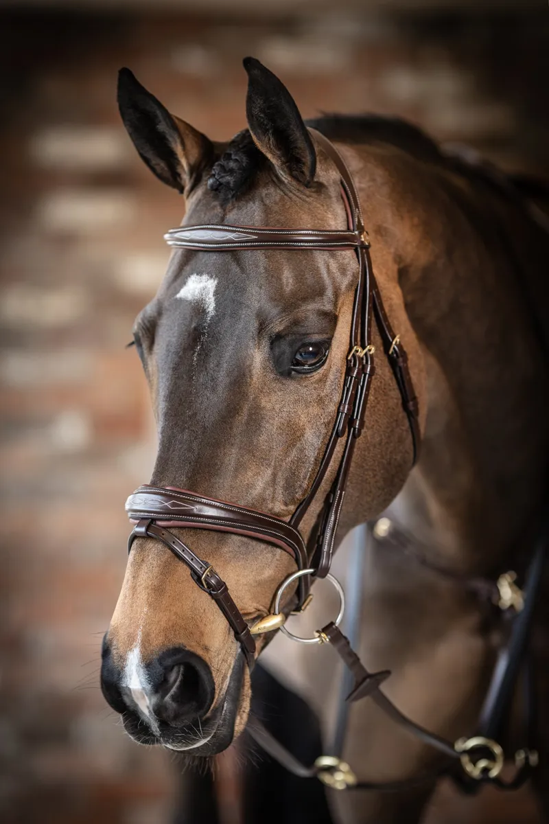 LeMieux Kudos Competition Flash Bridle in Havana-1