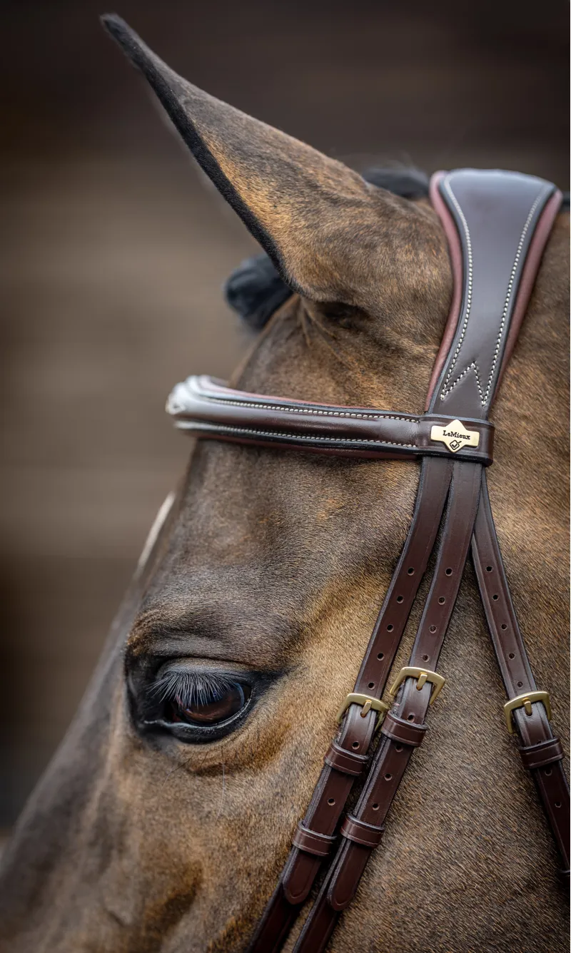 LeMieux Kudos Competition Flash Bridle in Havana-2