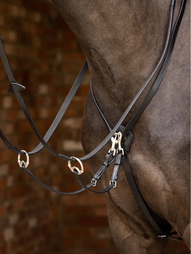 LeMieux Kudos Martingale in Black and Silver-1