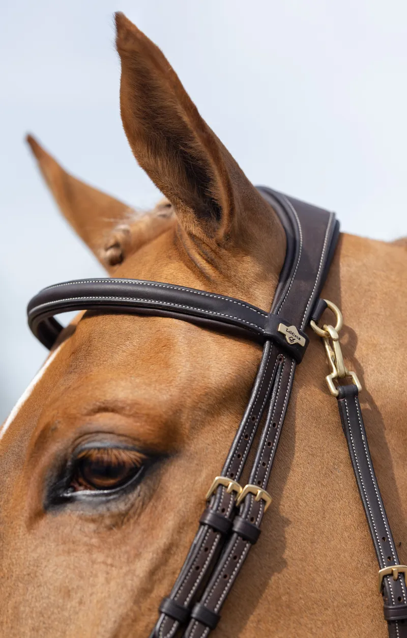 LeMieux Kudos Work Bridle in Brown-2