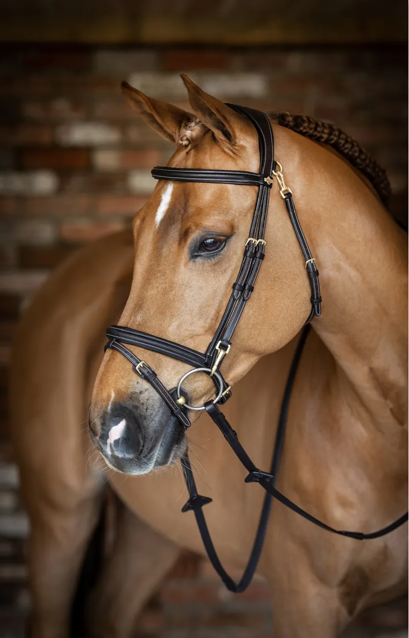 LeMieux Kudos Work Bridle in Brown-3