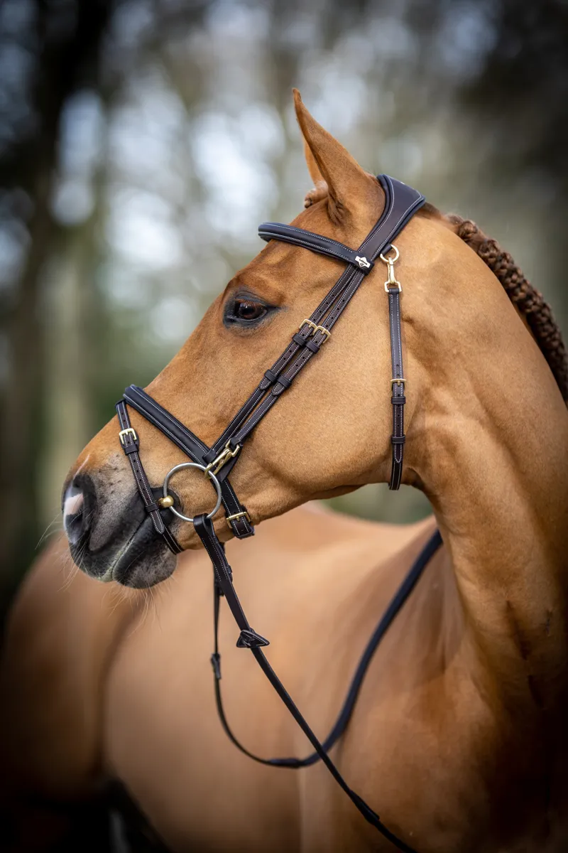 LeMieux Kudos Work Bridle in Brown-4
