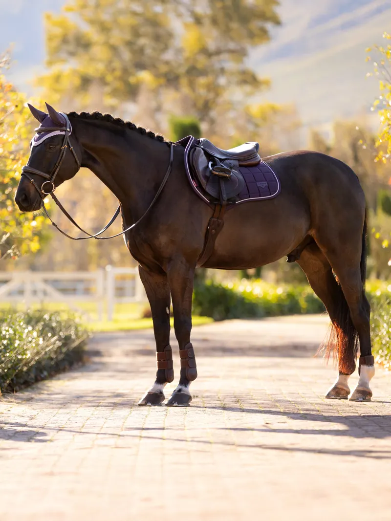 LeMieux Loire Close Contact Square in Juniper-1