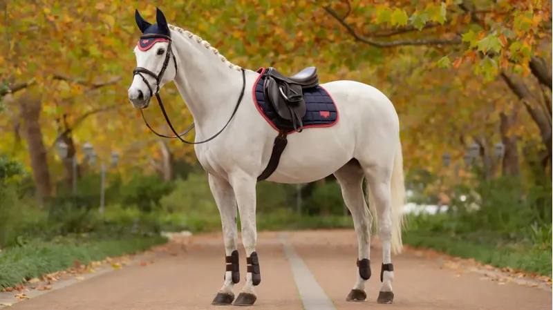 LeMieux Loire Close Contact Square in Navy and Cranberry-1