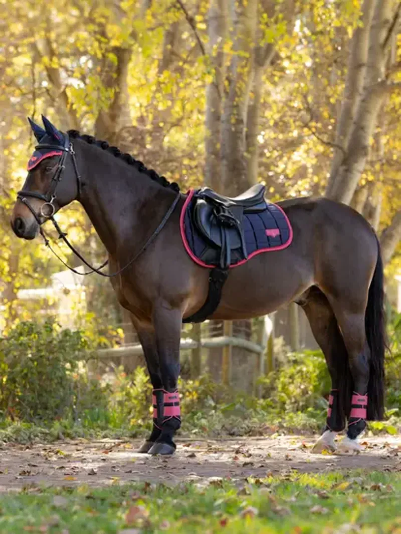 LeMieux Loire GP Square in Navy and Cranberry-2