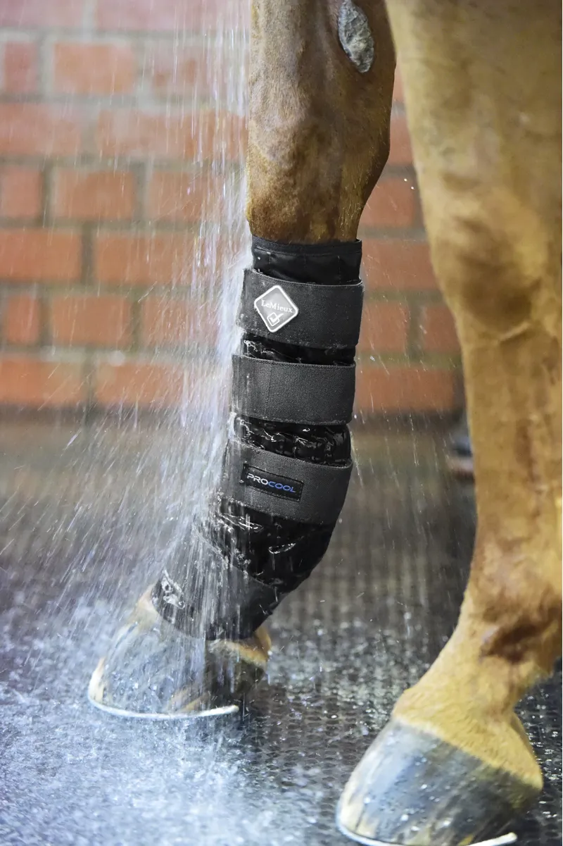 Lemieux Pro Cool Cold Water Boots in Black-3