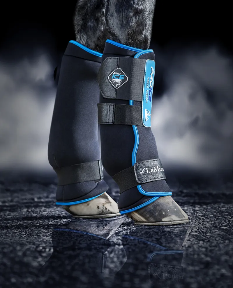 LeMieux Pro Ice Freeze Therapy Boots in Blue-3