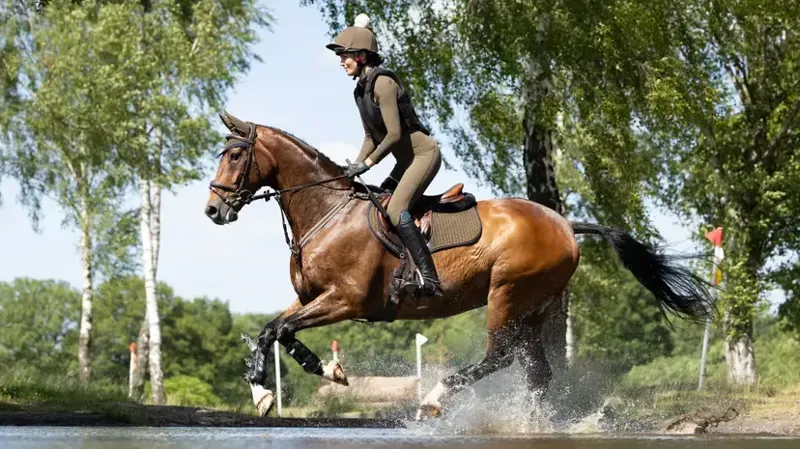 LeMieux Suede Close Contact Square in Alpine -1