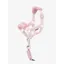 LeMieux Toy Pony Vogue Headcollar and Leadrope in Blossom Pink