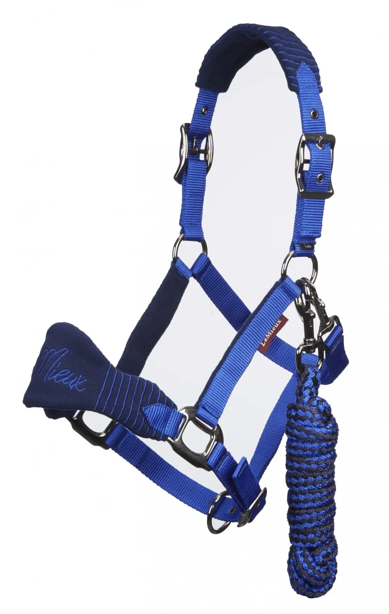 LeMieux Vogue Headcollar and Leadrope in Navy and Royal