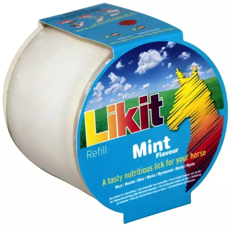 Likit Refills Large Mint in Green
