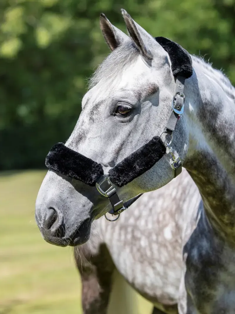 LeMieux Comfort Fleece Headcollar in Grey and Black-1