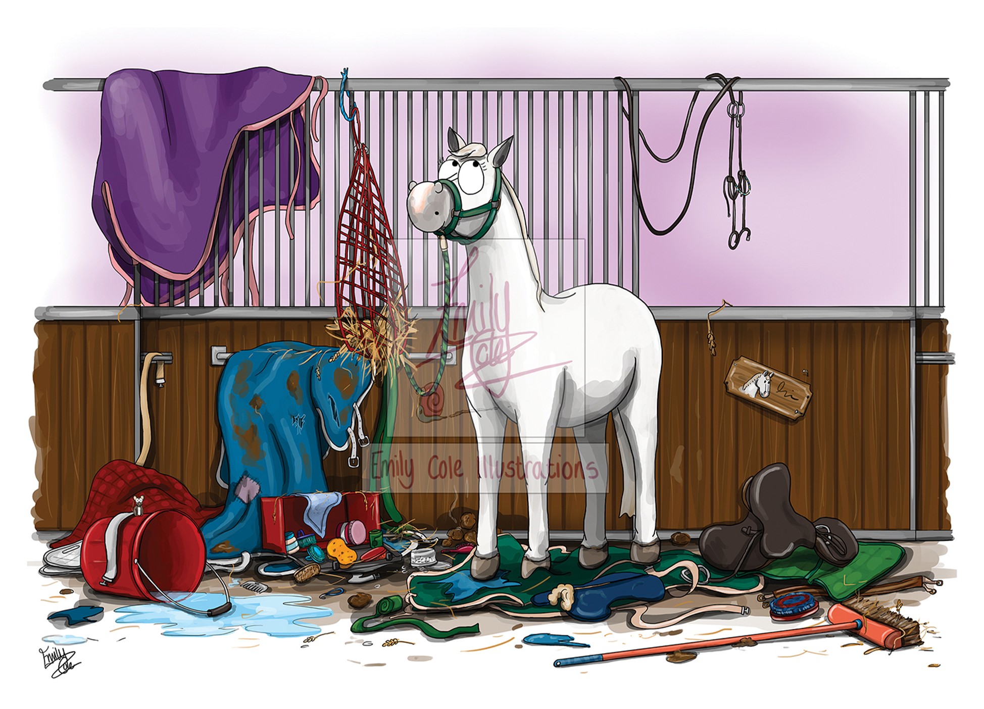 Emily Cole Unexplained Mess Greeting Card Townfields Saddlers
