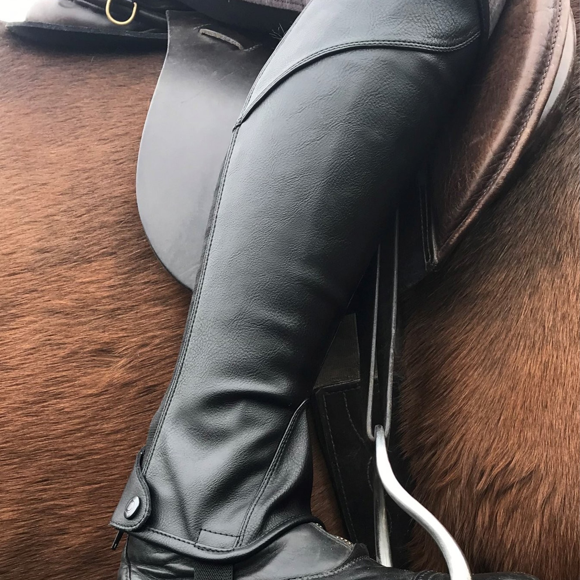 Dublin Stretch PU Leather Adult Half Chaps - Townfields Saddlers