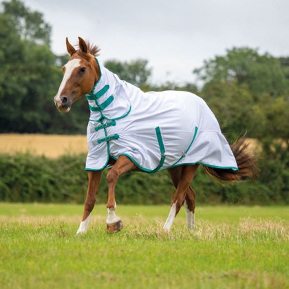 Shires Tempest Original Fly Combo Horse Rug