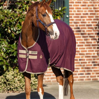 Horseware® Amigo® Fig Stable Sheet Horse Rug