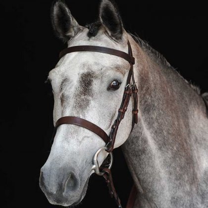 Collegiate Hunt Cavesson Bridle IV