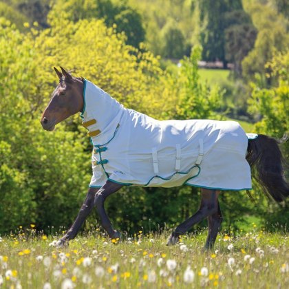 Shires Tempest Plus Sweet-itch Combo Rug