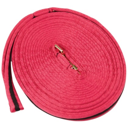 Kincade Brights Two Tone Padded Lunging Rein 