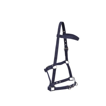 Kincade Nylon Padded Lunge Cavesson