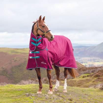 Shires Highlander Original 300 Combo Turnout Rug