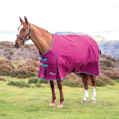 Shires Highlander Original 300 Turnout Rug