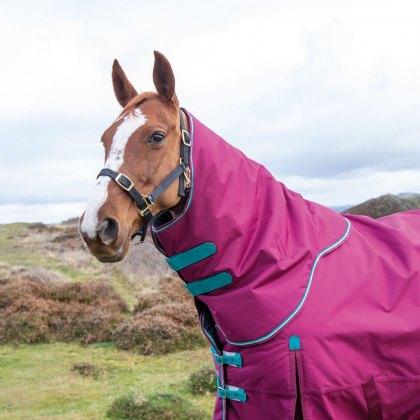 Shires Highlander Original 300 Turnout Neck Cover Raspberry 