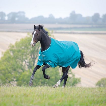 Shires Tempest Plus 200 Turnout Rug