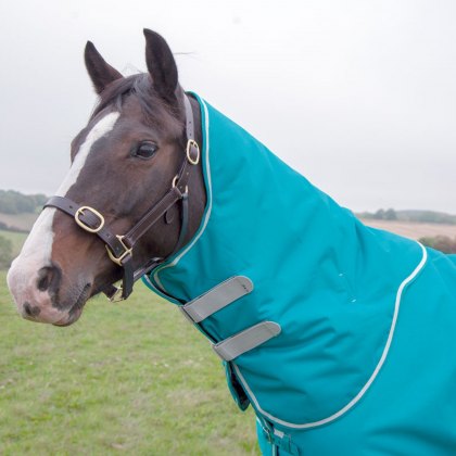 Shires Tempest Plus 200 Turnout Neck Cover