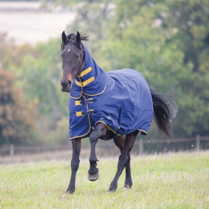 Shires Tempest Original 300 Combo Turnout Rug