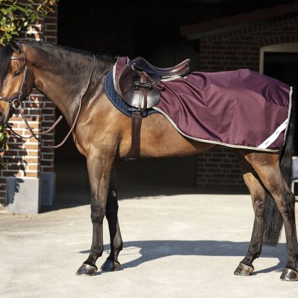 Horseware® Amigo® Ripstop Competition Sheet