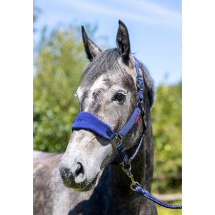 LeMieux Vogue Headcollar and Leadrope Ink Blue   