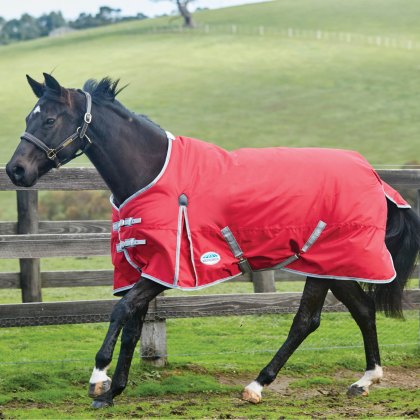 WeatherBeeta ComFiTec Classic Standard Medium Red Horse Turnout Rug