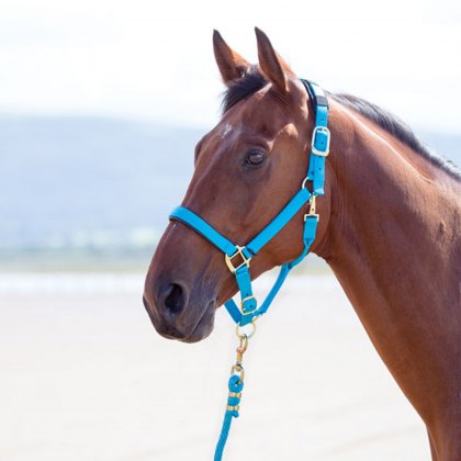 Shires Topaz Nylon Headcollar