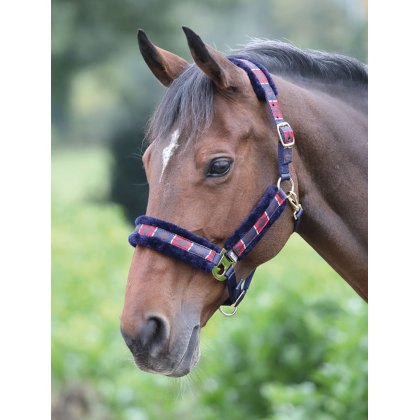 Knight Rider Fleece Padded Headcollar 2 for 1 Mix & Match 6 Colours 4 Sizes!! 