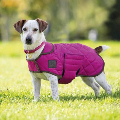 Shires Digby & Fox Quilted Dog Coat