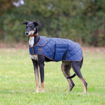 Shires Digby & Fox Quilted Dog Coat