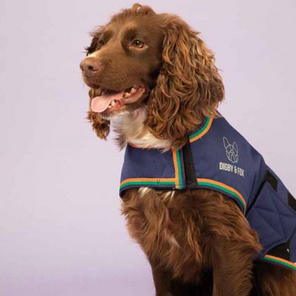 Shires Digby & Fox Waterproof Dog Coat